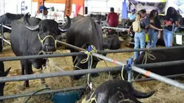 Expoferia Nacional 2026: sepa cuánto cuesta la entrada y cómo adquirirla