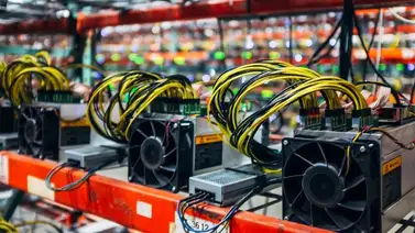 Decomisan granja de minería digital en Carabobo: el caso fue denunciado ante la Fiscalía Decomisan granja de minería digital en Carabobo: el caso fue denunciado ante la Fiscalía