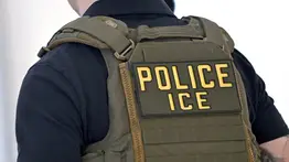 ICE solicita la custodia de venezolano arrestado por aberrante agresión contra su hijastra: así avanza el caso de Walter Travieso
