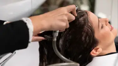 Mascarilla natural rica en vitaminas que nutre el cabello: así puedes aplicarla en casa para obtener un resultado favorable Mascarilla natural rica en vitaminas que nutre el cabello: así puedes aplicarla en casa para obtener un resultado favorable