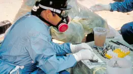 Sustancia usada contra el covid logra reducir la carga viral del hantavirus