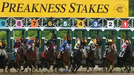 Gaceta Hípica: Consigue aquí el programa completo del Preakness Stakes