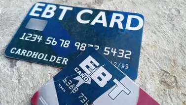 Apps para la EBT: revisa tu saldo y las fechas de renovación de documentos Apps para la EBT: revisa tu saldo y las fechas de renovación de documentos