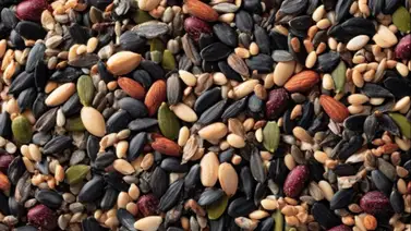 Semilla rica en vitaminas y fibra que controla el nivel de glucosa en la sangre: así debes consumirla para aprovechar su efecto Semilla rica en vitaminas y fibra que controla el nivel de glucosa en la sangre: así debes consumirla para aprovechar su efecto