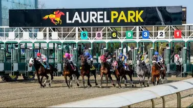 ¿Dónde conseguir el programa completo del Preakness Stakes 2026? ¿Dónde conseguir el programa completo del Preakness Stakes 2026?