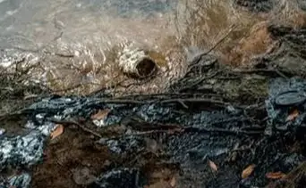 Freddy Ñáñez alerta sobre daños tras derrame de crudo proveniente de Trinidad y Tobago: así avanza la limpieza