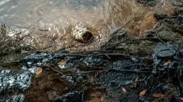 Freddy Ñáñez alerta sobre daños tras derrame de crudo proveniente de Trinidad y Tobago: así avanza la limpieza Freddy Ñáñez alerta sobre daños tras derrame de crudo proveniente de Trinidad y Tobago: así avanza la limpieza