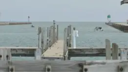 Tragedia en Waukegan: Hallan cuerpo de menor de edad en el Lago Michigan