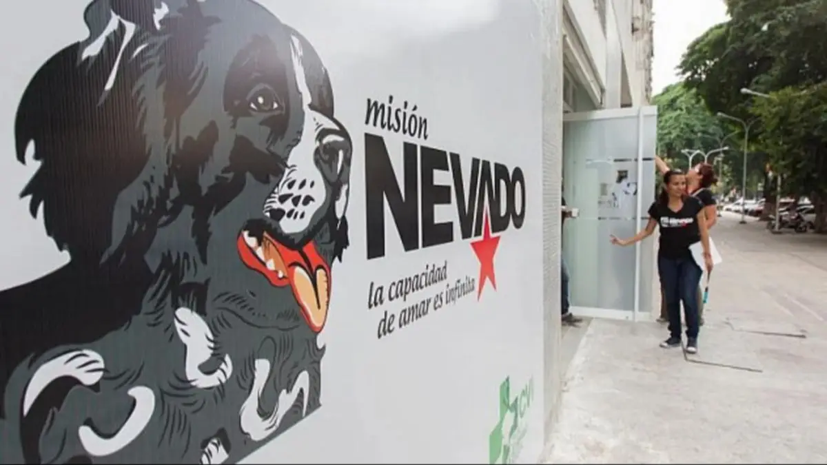 Misión Nevado activa registro para jornadas de esterilización gratuita: sepa cómo