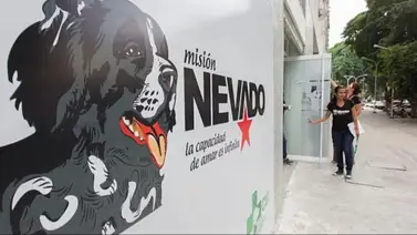 Misión Nevado activa registro para jornadas de esterilización gratuita: sepa cómo Misión Nevado activa registro para jornadas de esterilización gratuita: sepa cómo