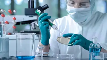 Trabajadores del sector químico y farmacéutico alcanzan acuerdos sobre remuneraciones: cláusulas Trabajadores del sector químico y farmacéutico alcanzan acuerdos sobre remuneraciones: cláusulas
