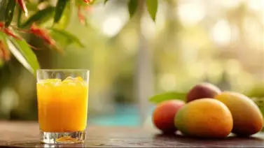Aprovecha la temporada de mango: incluye esta fruta en tu dieta con estas preparaciones sencillas Aprovecha la temporada de mango: incluye esta fruta en tu dieta con estas preparaciones sencillas