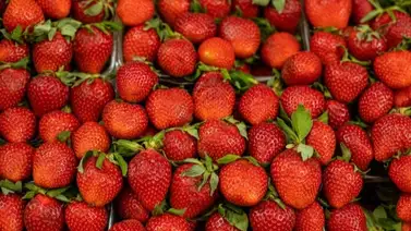 Súper alimentos: combina fresas con estos ingredientes y duplica los beneficios Súper alimentos: combina fresas con estos ingredientes y duplica los beneficios