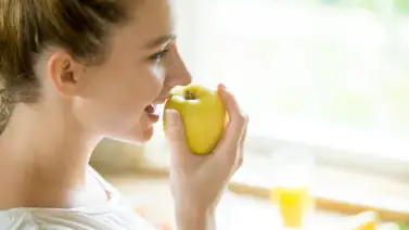 ¿Tienes problemas con el colon?: Incluye la manzana en tu dieta y aprovecha sus propiedades antioxidantes y purificantes ¿Tienes problemas con el colon?: Incluye la manzana en tu dieta y aprovecha sus propiedades antioxidantes y purificantes