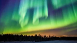 northern lights 1 june