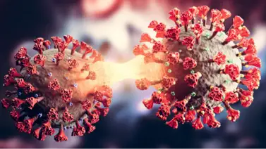 Nueva variante del COVID: estos son los síntomas que anuncia la OMS Nueva variante del COVID: estos son los síntomas que anuncia la OMS