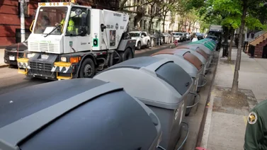 Batalla contra roedores en Nueva York surte efecto en Harlem