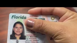 Licencia de conducir en Florida: nuevo requisito para tramitar el documento