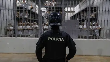 Juez Federal de Estados Unidos ordena medida a favor de venezolanos detenidos en El Salvador: podrán impugnar su expulsión Juez Federal de Estados Unidos ordena medida a favor de venezolanos detenidos en El Salvador: podrán impugnar su expulsión
