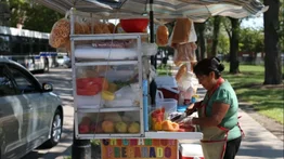 vendedores ambulantes chicago permiso
