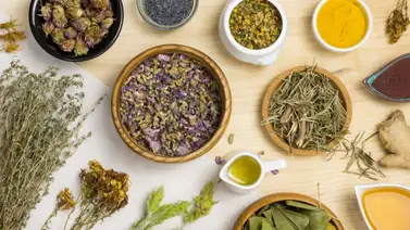 Los expertos la llaman la hierba de la eterna juventud: aprovecha la planta que detiene el paso del tiempo Los expertos la llaman la hierba de la eterna juventud: aprovecha la planta que detiene el paso del tiempo