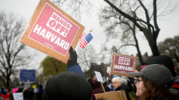 Harvard desafía en tribunales la orden de Trump: busca impedir restricción de visas para estudiantes y profesionales extranjeros