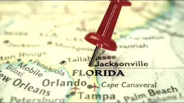 Estudio Florida Hialeah  Estudio Florida Hialeah