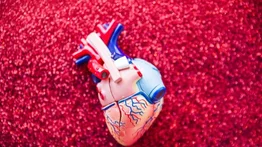 Destapa las arterias con este milagroso remedio casero fácil y rápido de preparar
