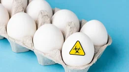 FDA activa retiro de huevos en nueve estados por riesgo de salmonela: descubra los detalles