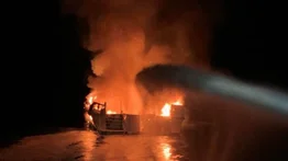 Incendio destruye seis embarcaciones en la marina de Sunny Isles: no se reportaron heridos