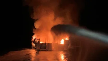 Incendio destruye seis embarcaciones en la marina de Sunny Isles: no se reportaron heridos