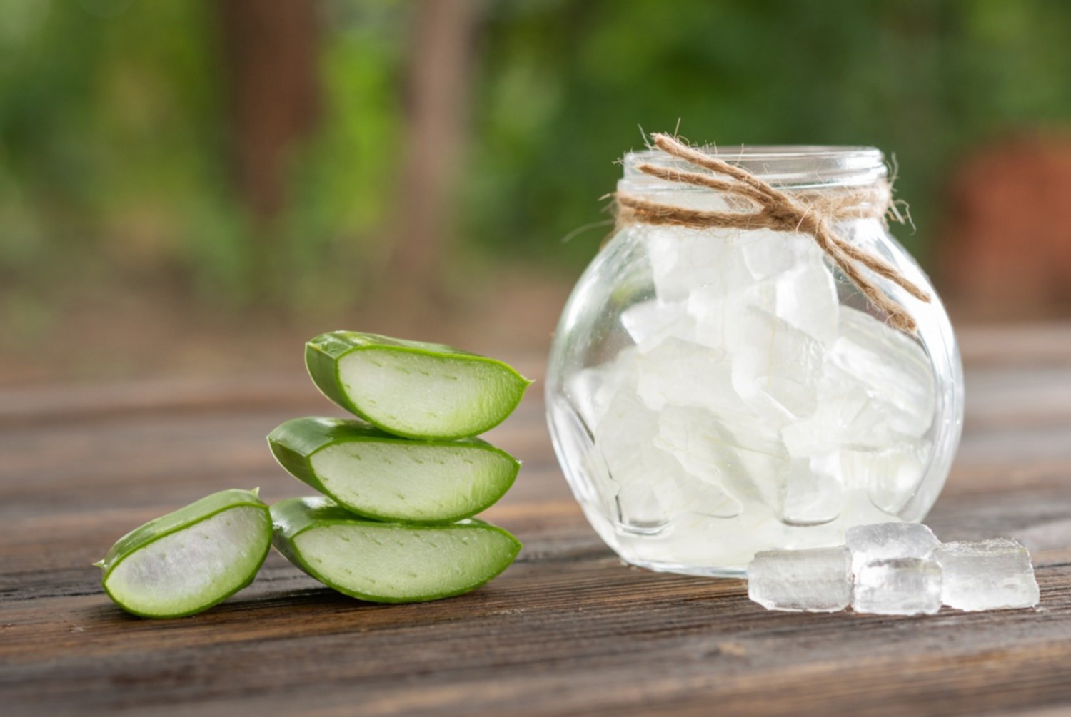 Hidrata el cabello: aprende a preparar una mascarilla natural con esta milagrosa planta