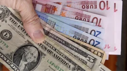 Diputado Lobo advierte sobre el uso del euro en comercios: genera un "caldo de cultivo" para disparar la inflación