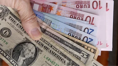Diputado Lobo advierte sobre el uso del euro en comercios: genera un "caldo de cultivo" para disparar la inflación