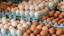 Retiran más de 20 millones de huevos de Walmart por brote de salmonela