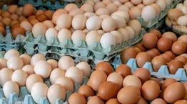 Retiran más de 20 millones de huevos de Walmart por brote de salmonela