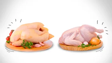 Este es el color que debe tener la carne de pollo sano: nutricionista despeja mitos