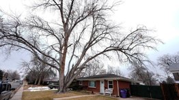 Dictan sentencia a propietario de una funeraria en Denver: escondía restos de cadáveres