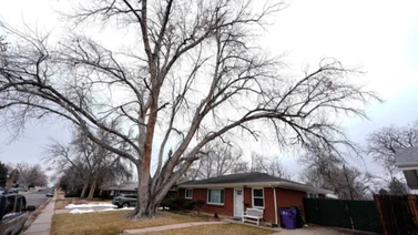 Dictan sentencia a propietario de una funeraria en Denver: escondía restos de cadáveres