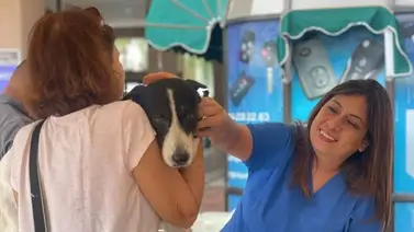 Jornada de salud para vecinos y mascotas en Baruta: sepa cuáles servicios estarán disponibles este 14 de junio Jornada de salud para vecinos y mascotas en Baruta: sepa cuáles servicios estarán disponibles este 14 de junio