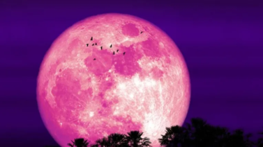 Luna de Fresa en Venezuela: hora de su plenitud este 11 de junio