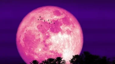 Luna de Fresa en Venezuela: hora de su plenitud este 11 de junio
