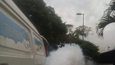 Servicio gratuito de fumigación en Chacao: requisitos para acceder a este beneficio
