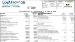 BBVA PROVINCIAL BALANCES 12 JUN 2025