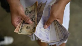 Van 58 personas detenidas por promover cotización del dólar no oficial: también 12 páginas web ilegales cerradas