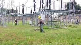 Realizan labores de pica y poda en 28 subestaciones del estado Carabobo: también aplicaron tratamiento químico en áreas adyacentes