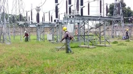 Realizan labores de pica y poda en 28 subestaciones del estado Carabobo: también aplicaron tratamiento químico en áreas adyacentes