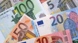 2001ONLINE - VENEZUELA - EURO BCV