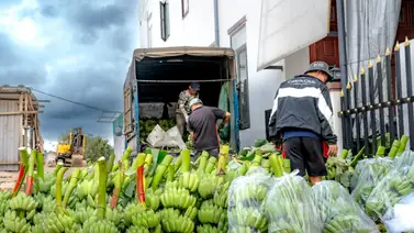cuando-planea-Trump-emitir-su-orden-ejecutiva cuando-planea-Trump-emitir-su-orden-ejecutiva