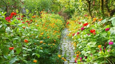 Expertos le llaman la mina de oro verde: usa este abono natural y tu jardín será digno de un palacio